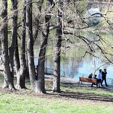Modern Semi-Central 1 Bedroom Apartment, 3 Parks Nearby Bucarest Esterno foto